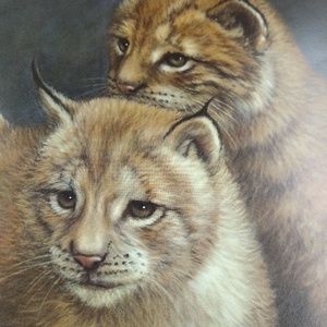 Siberian Lynx Cubs By Harold Rigsby 43/1200 Signed